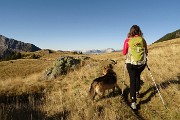 15 Color giallo-oro l'erba ormai secca degli estesi pratoni del Monte Campo 